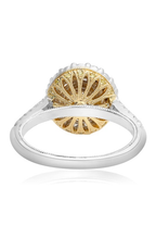 Roman and Jules Engagement Ring NR746-1
