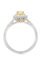 Roman and Jules Engagement Ring NR749-1