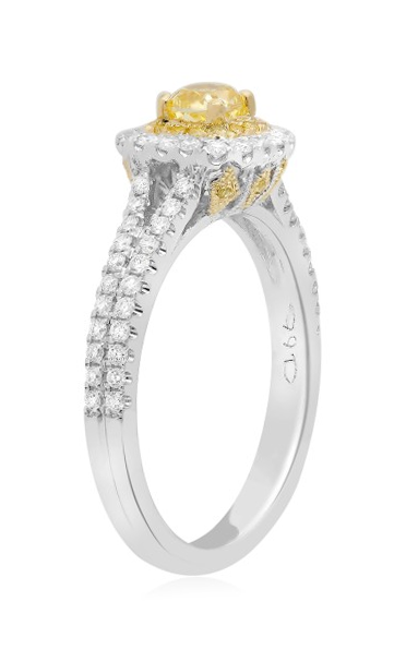 Roman and Jules Engagement Ring NR749B-1