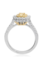 Roman and Jules Engagement Ring NR763C-1