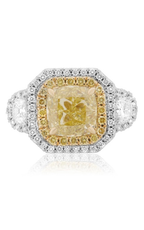 Roman and Jules Engagement Ring KR5716-1