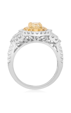 Roman and Jules Engagement Ring NR629-9