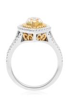Roman and Jules Engagement Ring 1019-2