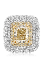 Roman and Jules Engagement Ring NR660-1