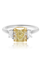 Roman and Jules Engagement Ring KR3554WY-18K-1