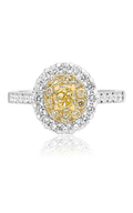Roman and Jules Engagement Ring NR763D-1