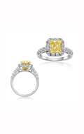 Roman and Jules Engagement Ring NR305
