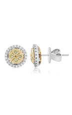 Roman and Jules Yellow Label Earrings NE884D-1