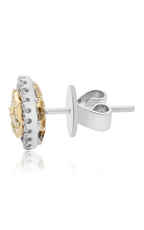 Roman and Jules Yellow Label Earrings NE884D-1