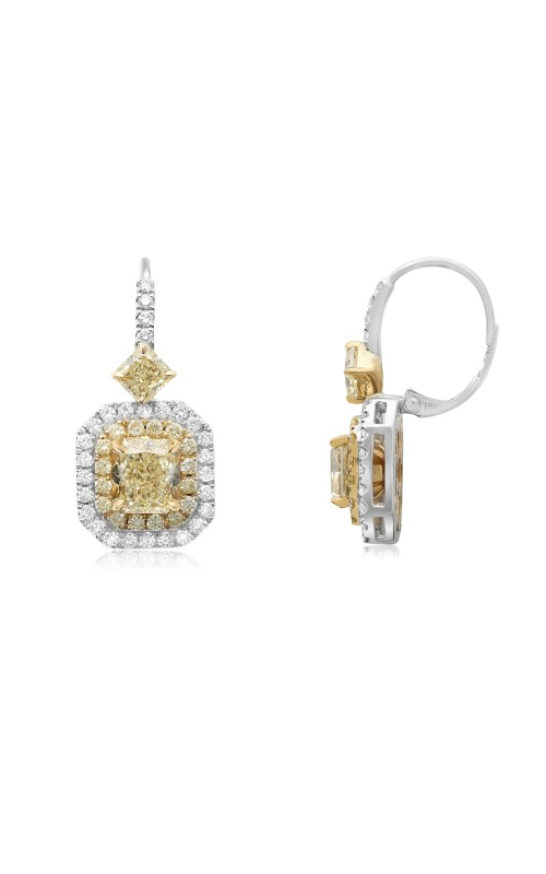 Roman and Jules Yellow Label Earrings KE5496WY-18K-1