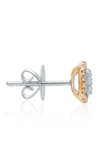 Roman and Jules Fashion Label Earrings UE1887A-3