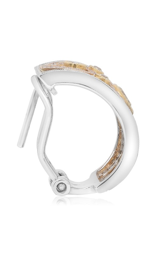 Roman and Jules Fashion Label Earrings KE2487WRY-18K