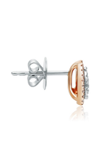 Roman and Jules Fashion Label Earrings UE1887B-3