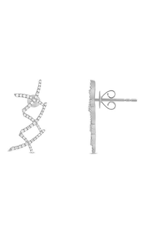 Roman and Jules Fashion Label Earrings EE1069-1
