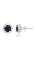 Roman and Jules Fashion Label Earrings UE1825-11