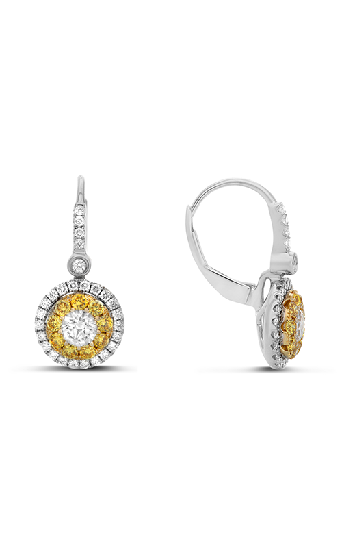 Roman and Jules Fashion Label Earrings UE1803-4