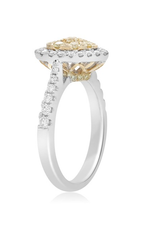 Roman and Jules Fashion Ring NR885A-1