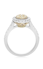 Roman and Jules Fashion Ring NR885C-1