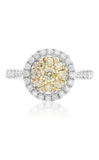 Roman and Jules Fashion Ring NR885D-1
