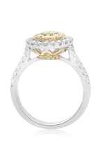 Roman and Jules Fashion Ring NR885D-1