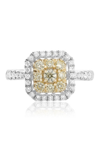 Roman and Jules Fashion Ring NR885E-1