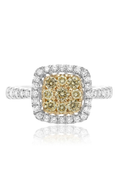 Roman and Jules Yellow Label Ring NR885-1