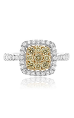 Roman and Jules Yellow Label Ring NR885-1
