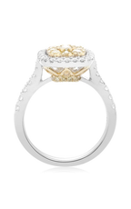 Roman and Jules Yellow Label Ring NR885-1