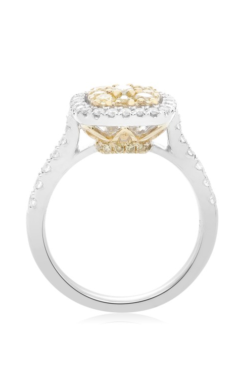 Roman and Jules Yellow Label Ring NR885-1