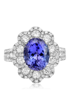 Roman and Jules Color Label Ring TR1098WTZ-6
