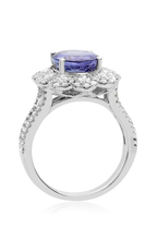 Roman and Jules Color Label Ring TR1098WTZ-6
