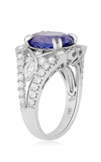 Roman and Jules Color Label Ring NR449WTZ