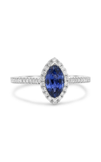 Roman and Jules Marquise Cut Sapphire Pave Ring UR1675-16