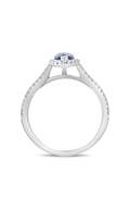 Roman and Jules Marquise Cut Sapphire Pave Ring UR1675-16
