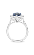 Roman and Jules Pear-shaped Sapphire Halo Ring MR611A-1