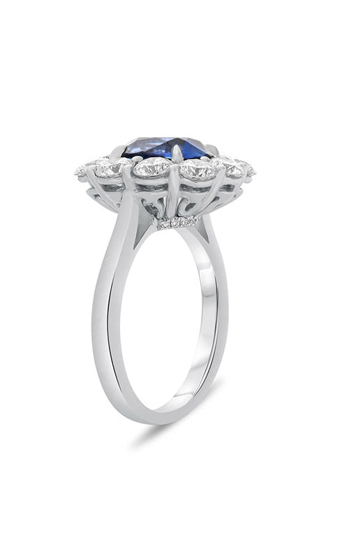 Roman and Jules Oval Sapphire Shared Prong Halo Ring KR2636WSP-18K-1