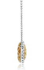 Roman and Jules Yellow Label Necklace NN884C-1