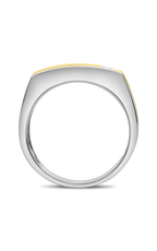 Roman and Jules White & Yellow Gold Men's Diamond Band GR2932-1
