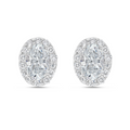 Lab-Grown Oval Diamond Halo Stud Earrings