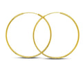Large Aqua Net Hoops